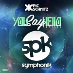 You Say Hello (Bruno Be & Dado Prisco Remix) | Pic Schmitz